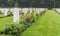 Graves of fallen canadian soldiers