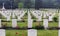 Graves of fallen canadian soldiers