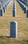 Graves of fallen heroes at Abraham Lincoln National Cemetery