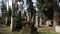 Graves on the Lychakiv Cemetery in Lviv, Ukraine