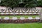 The graves of members of St. Joseph Congregation on the cemetery in Ursberg, Germany