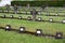 The graves of members of St. Joseph Congregation on the cemetery in Ursberg, Germany