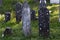 Graves in Muslim cemetery