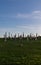 Graves in an old cemetery on green grass. Clonmacnoise Abbey in Ireland