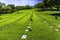 Graves Punchbowl National Cemetary Pacific Honolulu Oahu Hawaii