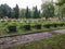 Graves to the fallen soldiers in the Second World War in the cemetery in Lviv