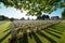 Graves and tree in back-light, in an English military cemetery in Normandy, at Ranville
