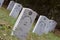 Graves of Unknown Confederate Soldiers