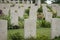 Graves of the unknown, Kranji war cemetery, Singapore