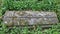 Gravestone in a churchyard