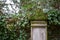 Gravestone with ivy on a former cemetery