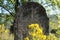 Gravestone in the old Jewish cemetery