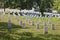 Gravestones on Arlington National