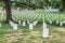 Gravestones on Arlington National