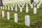 Gravestones on Arlington National