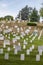 Gravestones at Arlington National Cemetery