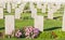Gravestones in a cemetery