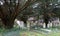 Gravestones in the cemetery at the historic Church of St Mary in Harmondsworth, west London, UK