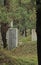 Gravestones in the Confucius Cemetery