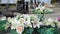 Gravestones and flowers in Catholic Cemetery. Graves and Tombstones. Black headstones in graveyard. Floral decoration and tombs. M