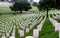 Gravestones in Fort Rosecrans Military Cemetery