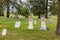 Gravestones in an historic cemetary in the Palouse hills