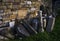 Gravestones lit by sun placed near a wall