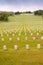 Gravestones in the military cemetary