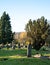 Gravestones in Paines Lane Cemetery, Pinner, with graves dating from Victorian times, located Paines Lane, Pinner, Middlesex, UK.