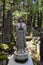 Gravestones and statues on Okunoin cemetery, Koyasan, Japan