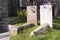 Gravestones in a sunny country cemetery