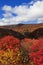 Graveyard Fields