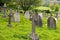 Graveyard full of old grey tombstones