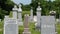 Graveyard Headstones