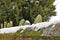 Graveyard headstones in snow on a bleak winter`s day