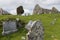 Graveyard Loch Cill Chriosd