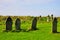 Graveyard - Mythical Tintagel, Cornwall
