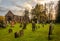 Graveyard and the remains of Tongland Church and Abbey, Scotland