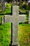 Graveyard with rows of crosses