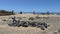 Graveyard at a sandy beach with grave and cross.