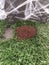 Graveyard scene with tombstones and cobwebs and freshly dug grave