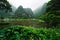 Graveyard settled between lush limestone hills covered in fog at a lake, Ninh Binh, Vietnam