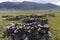 Graveyard in Steppe Mongolia