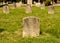 Graveyards in cemetery Halloween composition