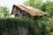 gray abandoned barn with a rusty roof behind a fence overgrown with green vegetation