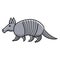 Gray armadillo animal