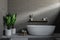 Gray bathroom, white tub