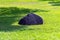 Gray-black large stone in green grass with tree shadows