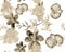 Gray Botanical Design. Brown Orchid Plant. Colorless Hibiscus Wallpaper. Flower Set. Watercolor Design. Seamless Backdrop. Pattern