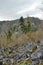 Gray boulders covered with moss